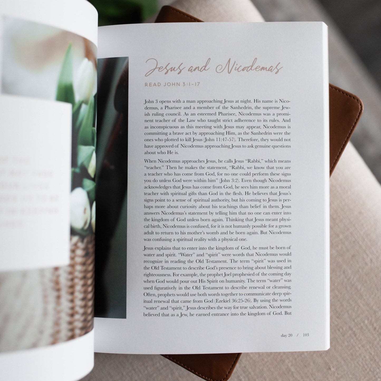 The Daily Grace Co - 40 Days with Jesus Bible Study
