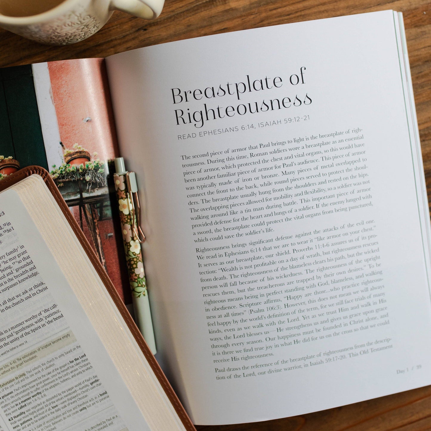The Daily Grace Co - Stand Firm | Armor of God Study