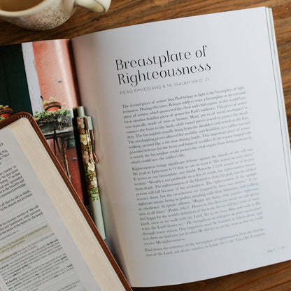 The Daily Grace Co - Stand Firm | Armor of God Study