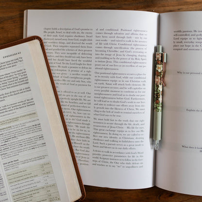 The Daily Grace Co - Stand Firm | Armor of God Study