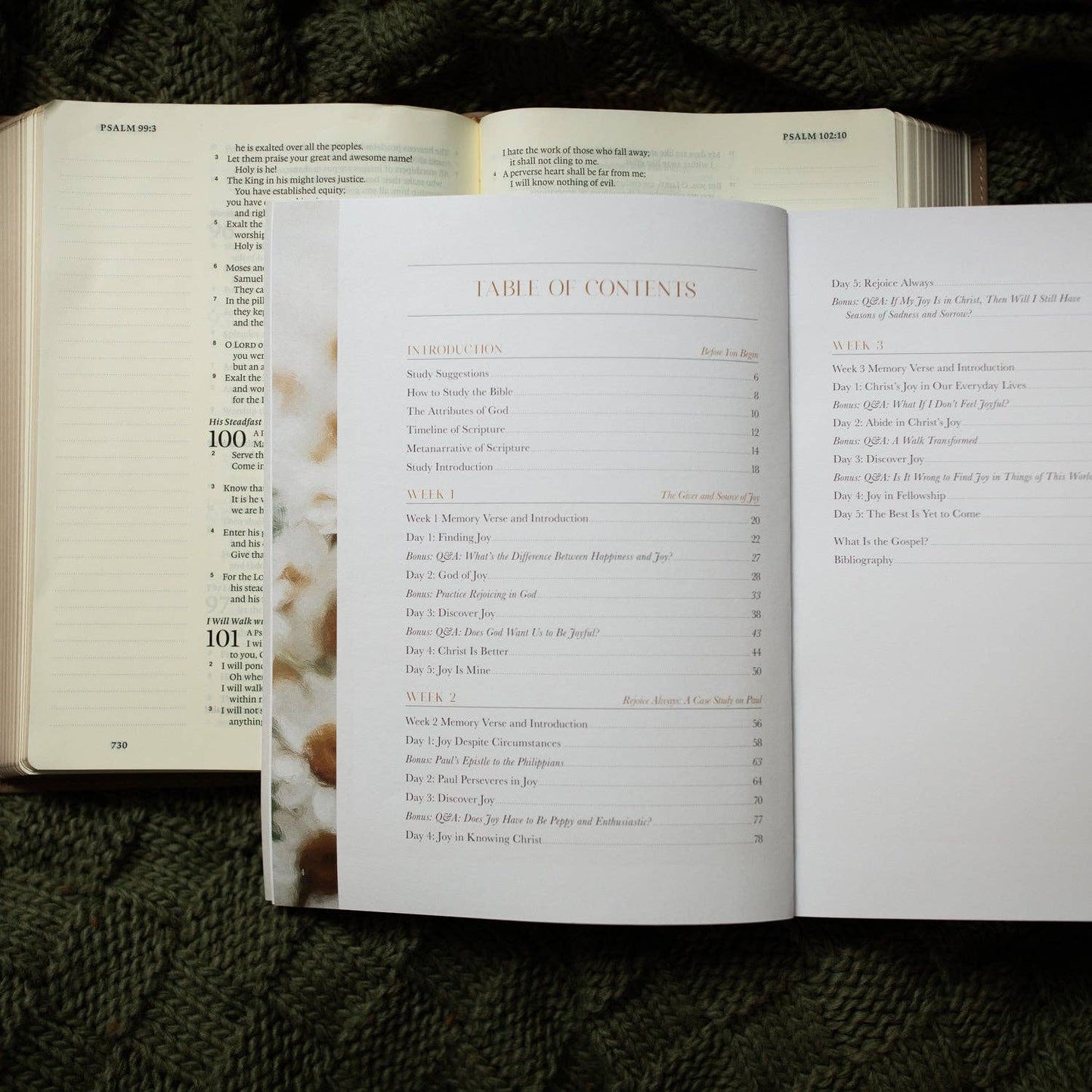 The Daily Grace Co - A Joy That Endures Bible Study