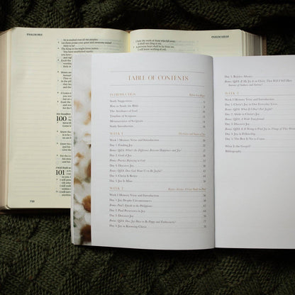The Daily Grace Co - A Joy That Endures Bible Study