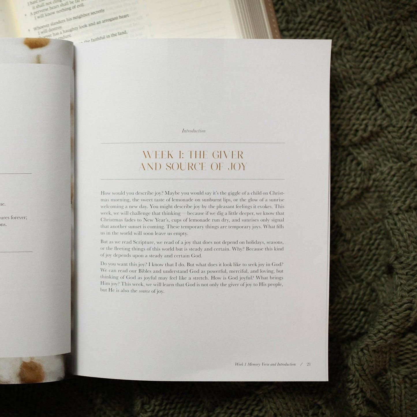 The Daily Grace Co - A Joy That Endures Bible Study