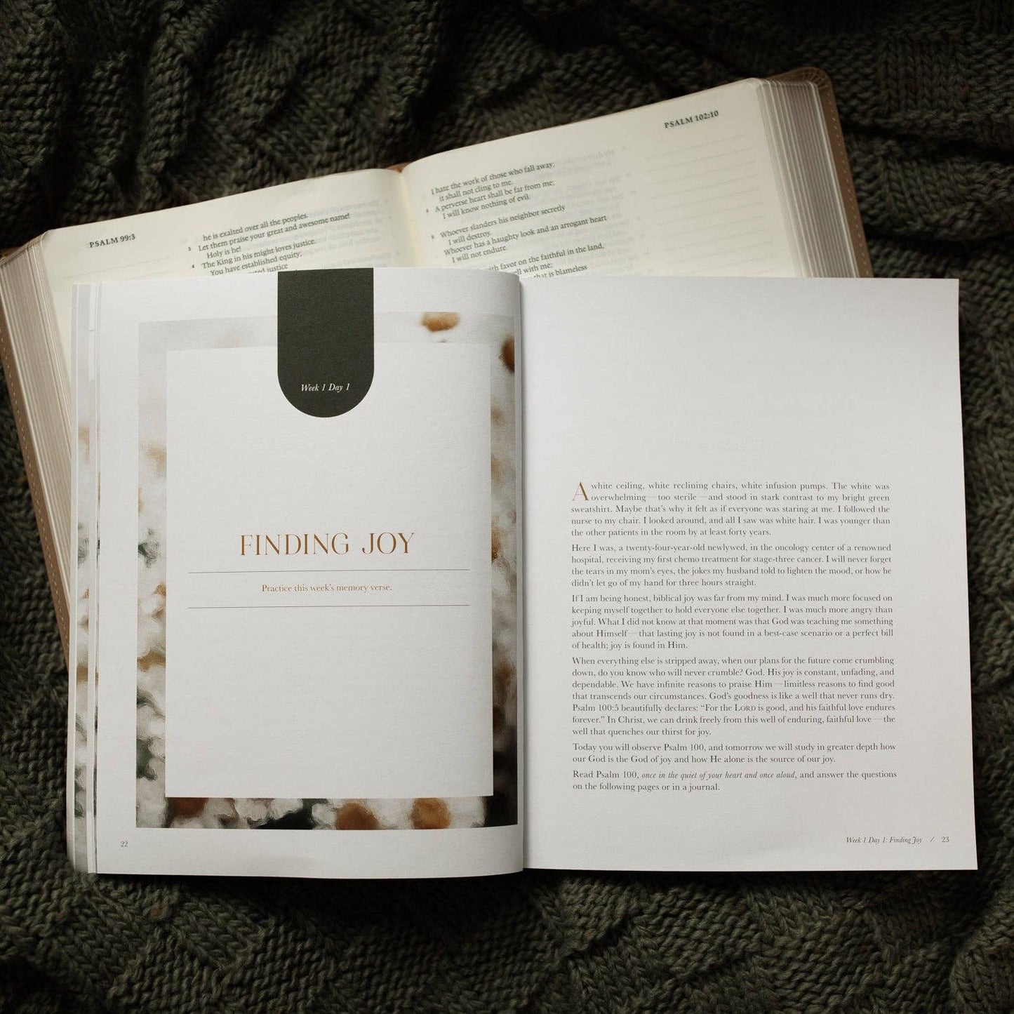 The Daily Grace Co - A Joy That Endures Bible Study