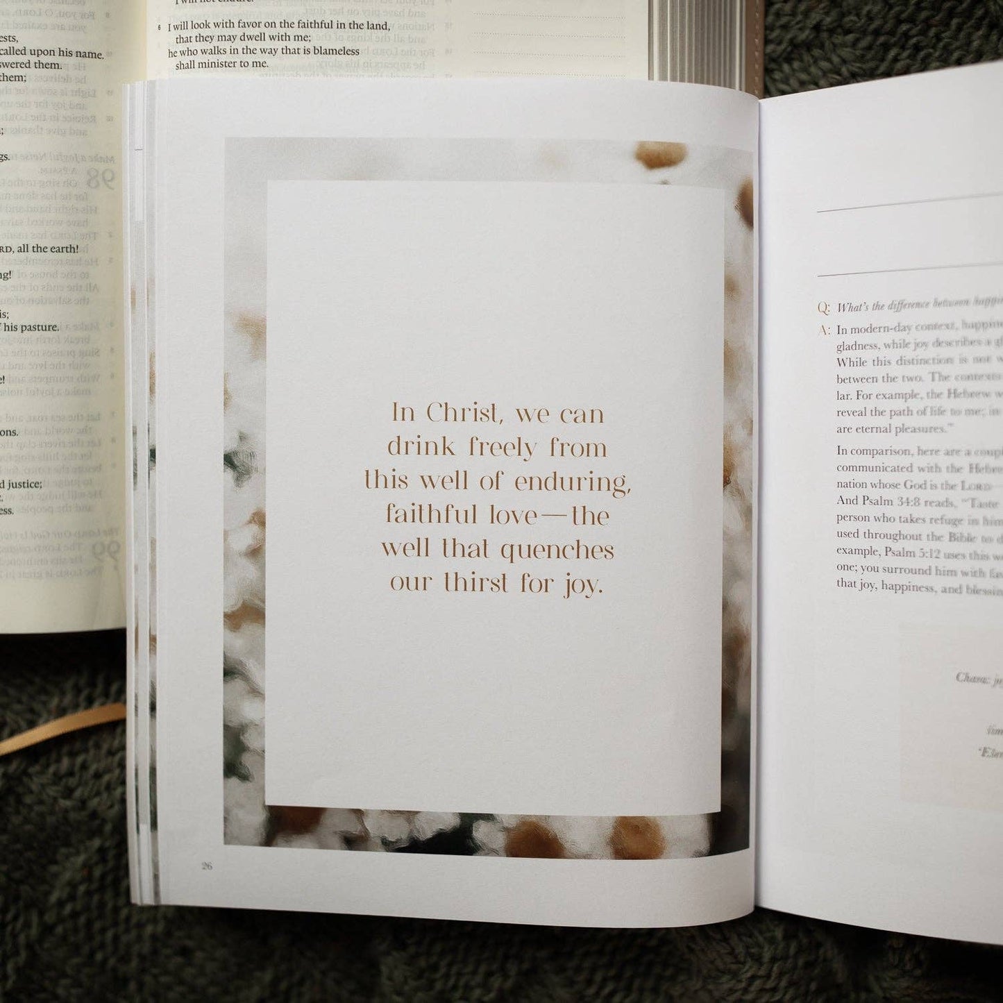 The Daily Grace Co - A Joy That Endures Bible Study