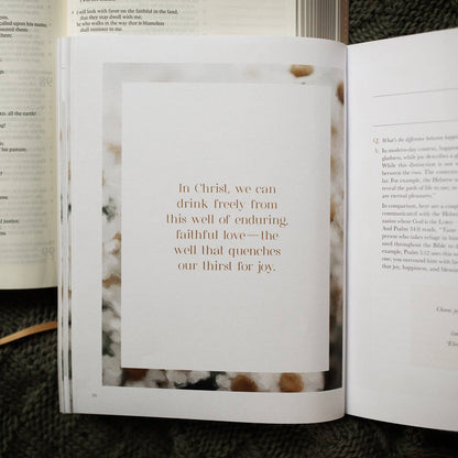 The Daily Grace Co - A Joy That Endures Bible Study