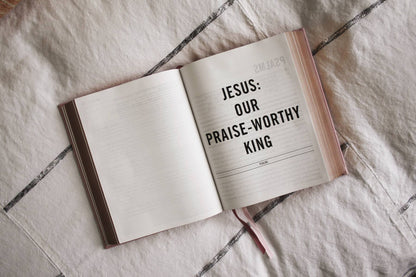ESV The Jesus Bible Leathersoft Over Board Pink
