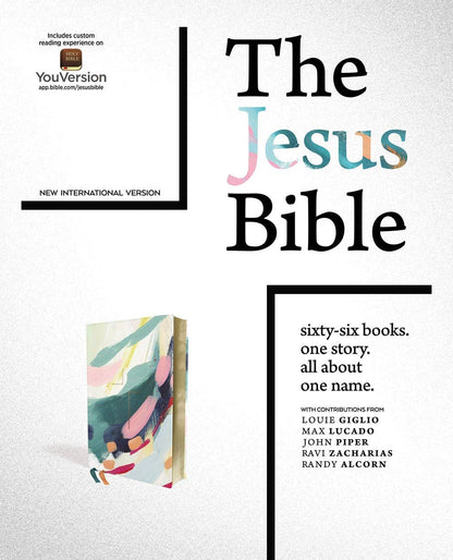 NIV The Jesus Bible Artist Edition Leathersoft Multi/Teal