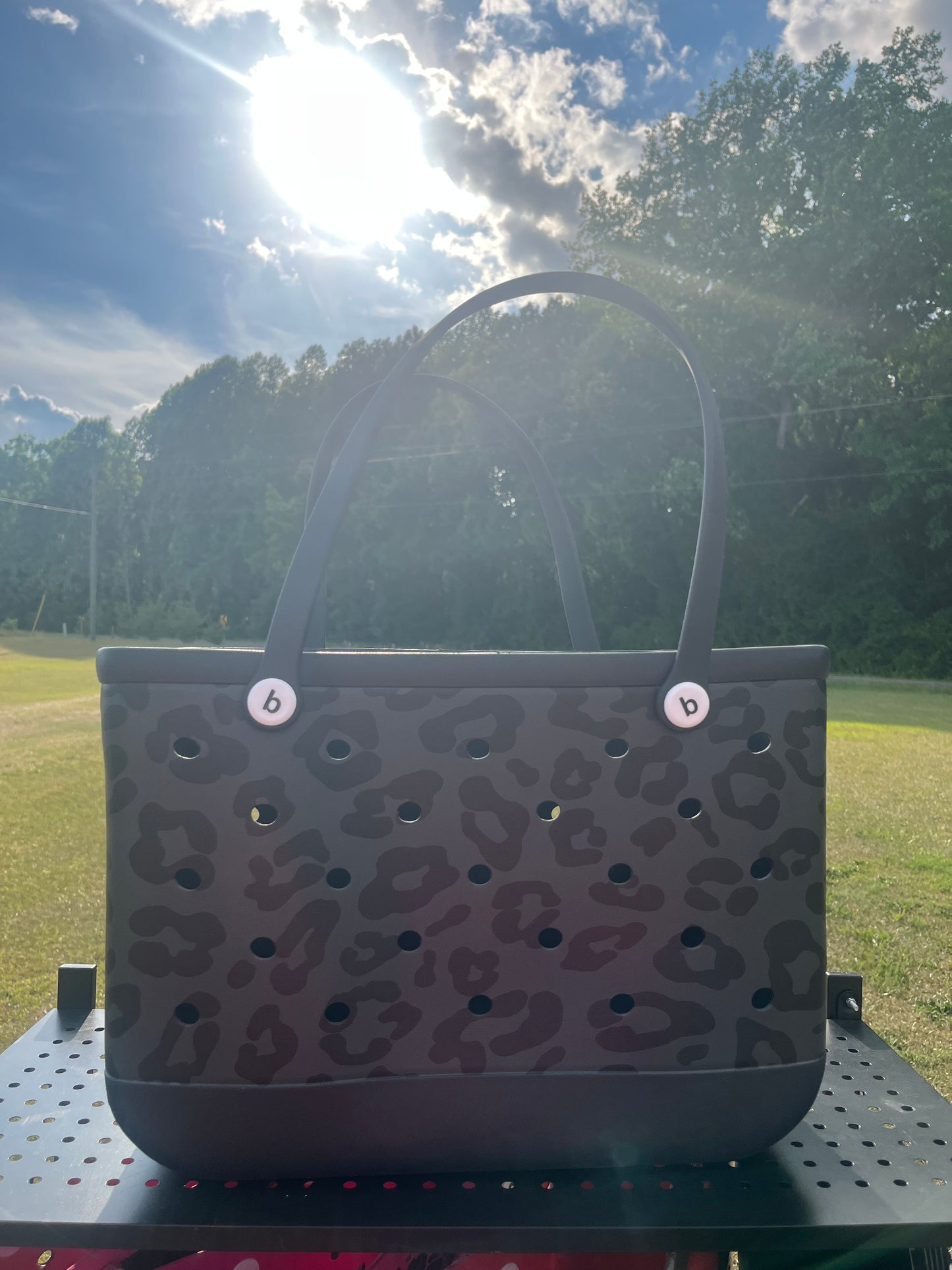 Xl beach bag