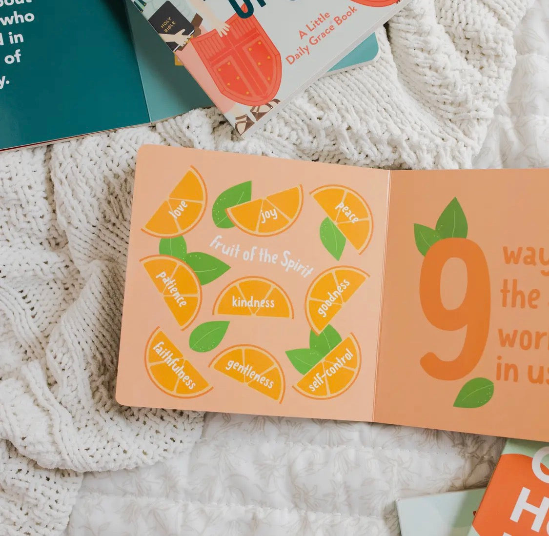 Counting Through the Bible Board Book
