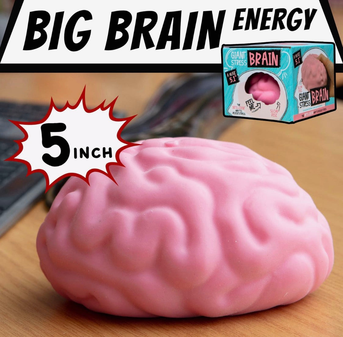Giant Brain Stress Ball – Large Squishy Toy for Adults
