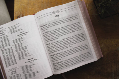 ESV The Jesus Bible Leathersoft Over Board Pink