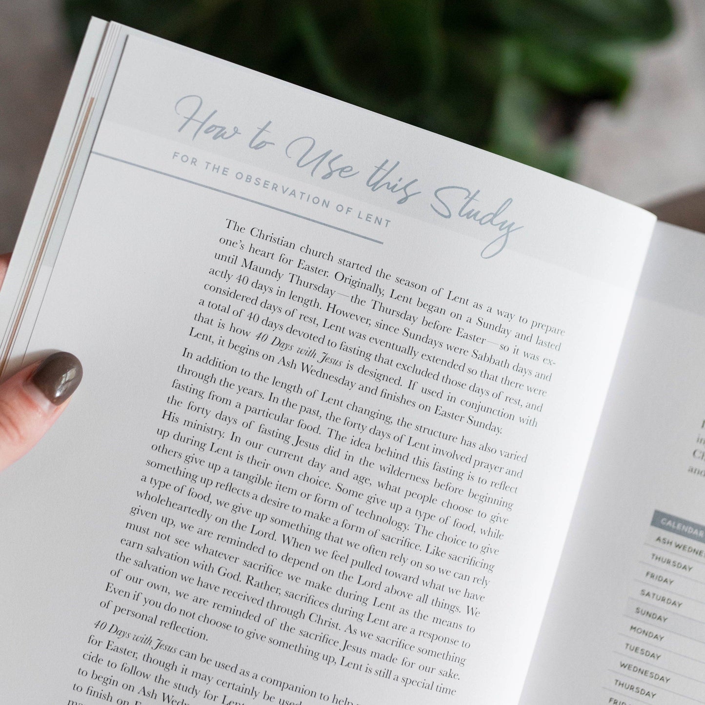 The Daily Grace Co - 40 Days with Jesus Bible Study