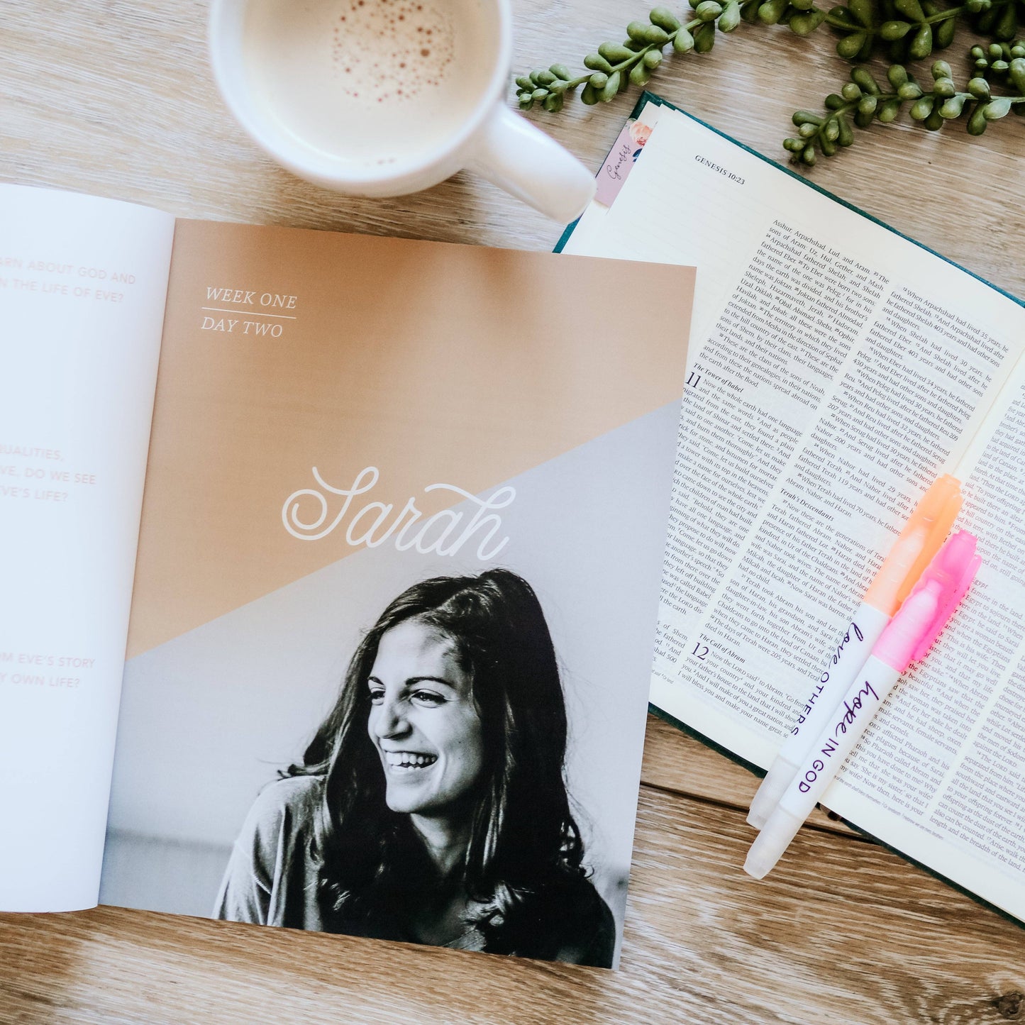 The Daily Grace Co - Daughters of Grace Bible Study