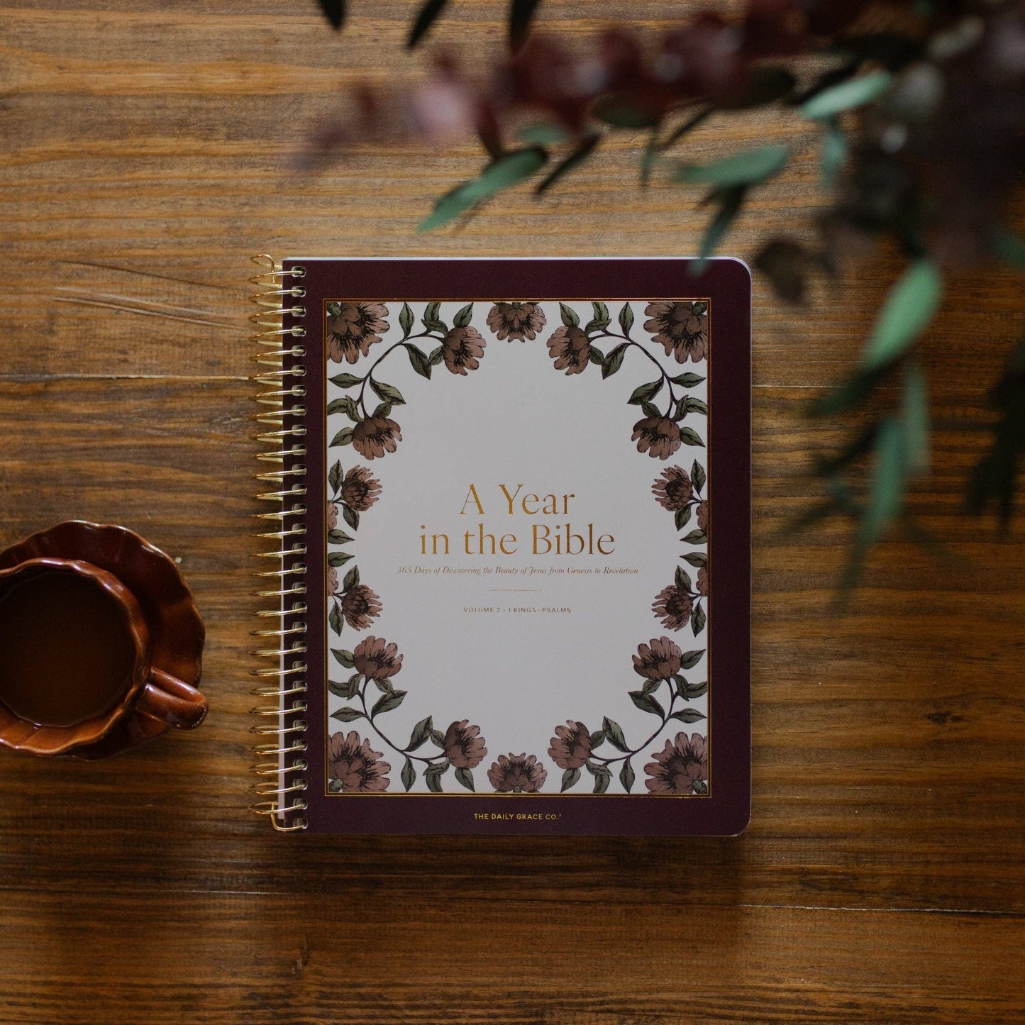 A Year in the Bible | 365 Days of Discovering the Beauty of Jesus from Genesis to Revelation | Volume 2