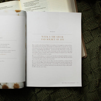 The Daily Grace Co - A Joy That Endures Bible Study